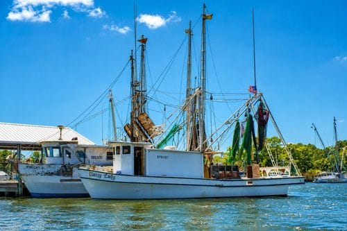Apalachicola Shrimp Boats