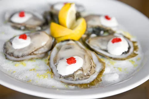 Fresh Forgotten Coast Oysters
