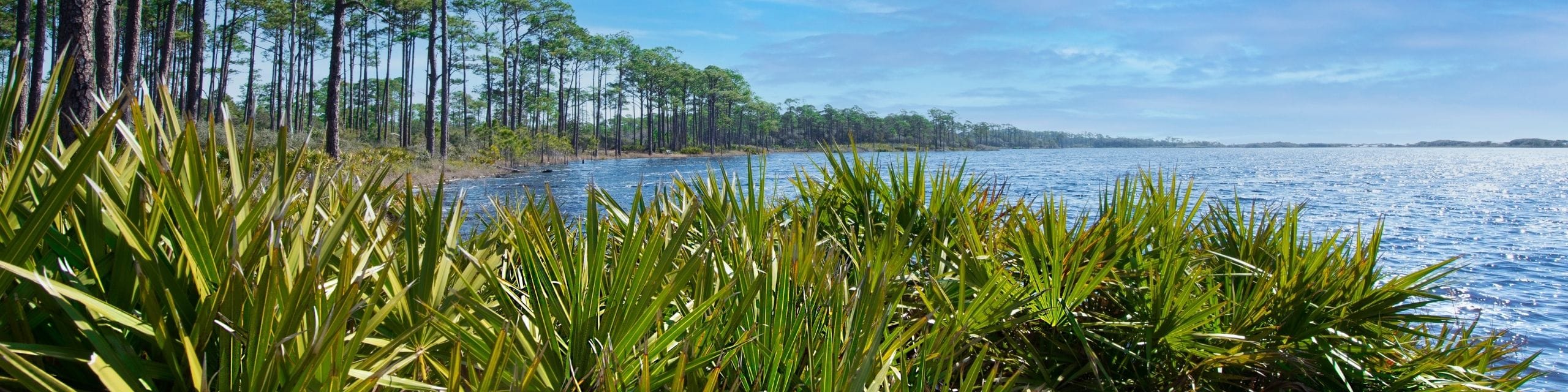 Robinson Real Estate Company Selling Coastal Properties